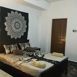 Zen House , コーバラム インド